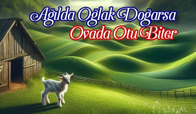 Ağılda Oğlak Doğarsa Ovada Otu Biter