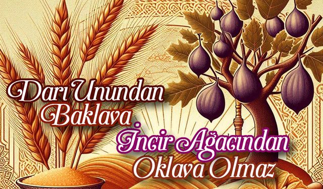 Darı Unundan Baklava, İncir Ağacından Oklava Olmaz