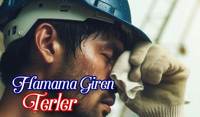 Hamama Giren Terler