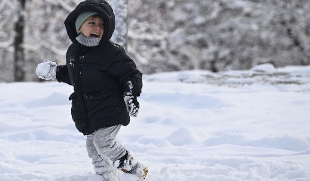 Birçok ilde eğitime ara verildi