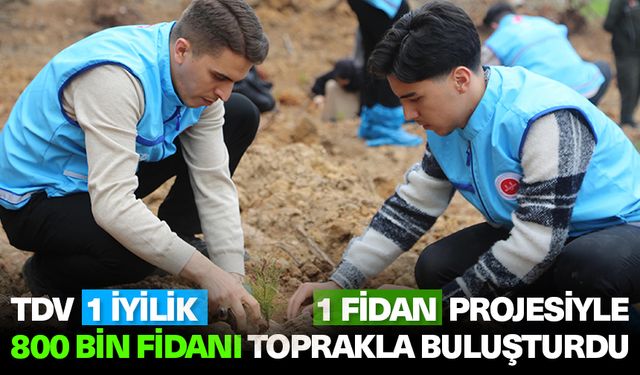 TDV 1 İyilik 1 Fidan projesiyle 800 bin fidanı toprakla buluşturdu