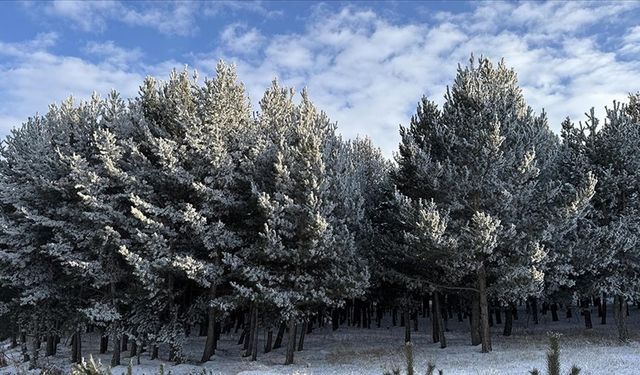 Erzurum, Ardahan, Ağrı ile Kars'ta kırağı ve buzlanmalar oluştu