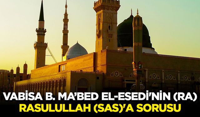 Vabisa b. Ma’bed el-Esedi'nin (ra) Rasulullah (sas)'a sorusu