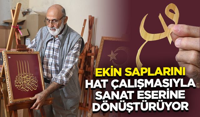 Emekli öğretmen ekin saplarını hat çalışmasıyla sanat eserine dönüştürüyor