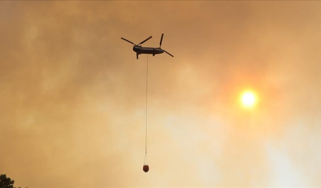 Muğla ve Aydın'da geçen yıl 384 yangında 3 bin 466 hektar alan zarar gördü