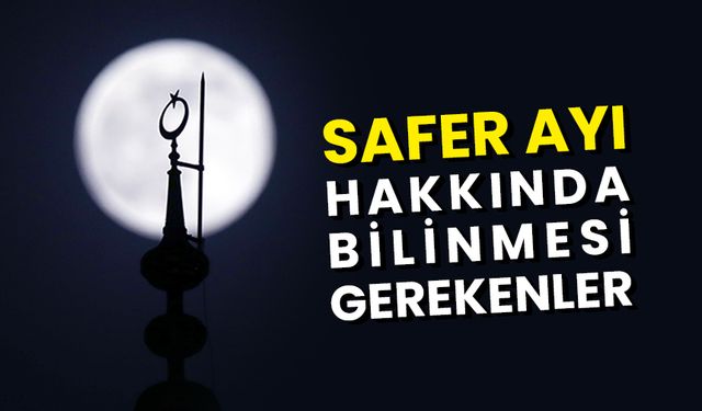 Safer Ayı hakkında bilinmesi gerekenler