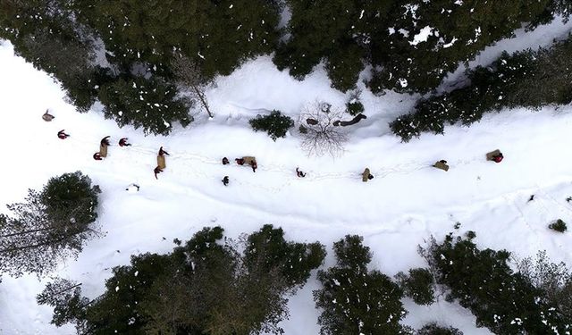 Kastamonu'da karlı yolları yaban hayvanları için aşıp doğaya yem bıraktılar