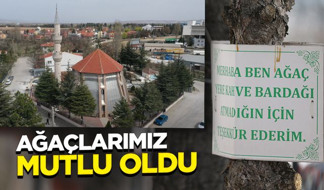 Cami bahçesindeki ağaçlara astığı levhalarla çevre duyarlılığına dikkati çekiyor