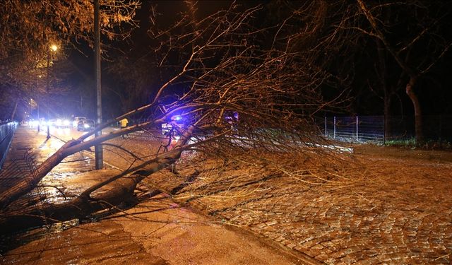 Edirne'de sağanak ağaç devrilmesine ve trafikte aksamalara neden oldu