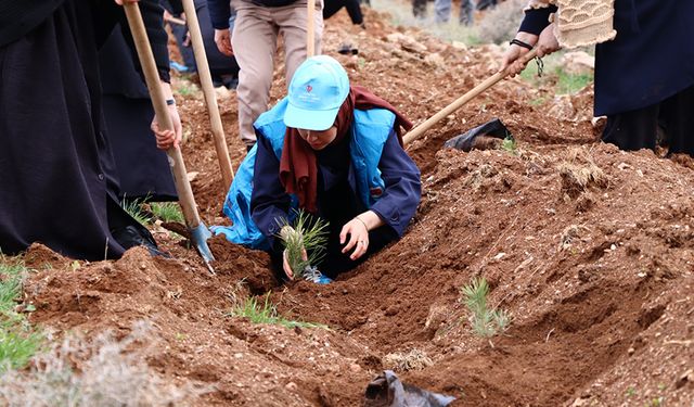 TDV gönüllüleri, Konya'da 10 bin fidanı toprakla buluşturdu