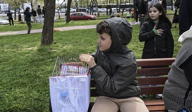 Tekirdağ, Yalova ve Kocaeli'de okullar yarın tatil edildi