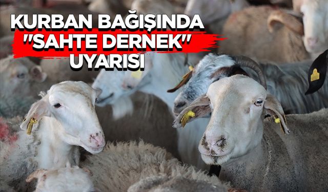Kurban bağışında "sahte dernek" uyarısı