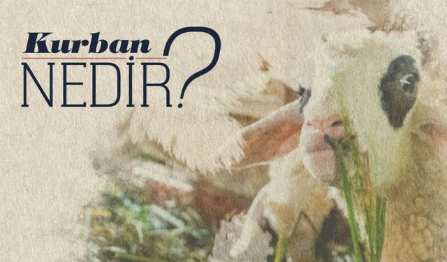 Kurban nedir? Kurban çeşitleri nelerdir?