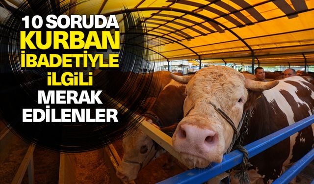 10 soruda kurbanla ilgili merak edilenler
