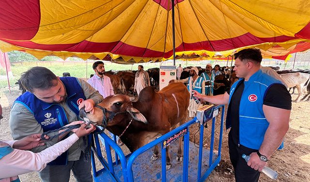 Milli güreşçi Rıza Kayaalp, TDV'nin Pakistan'daki kurban organizasyonuna katıldı