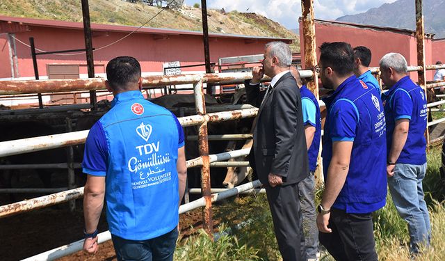 TDV, Van'da 6 bin 825 hisse kurbanlığın kesimine başladı