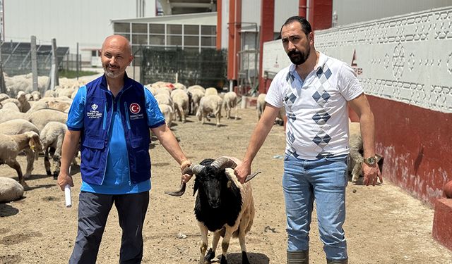 Türkiye Diyanet Vakfı, Konya'da 4 bin 25 kurban hissesinin etini ihtiyaç sahiplerine ulaştıracak