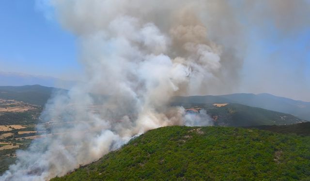 Bursa'da çıkan orman yangınına müdahale ediliyor