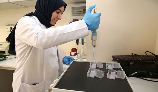 Bilim insanları, Alzheimer hastalığını kan tahliliyle erken teşhis için çalışıyor