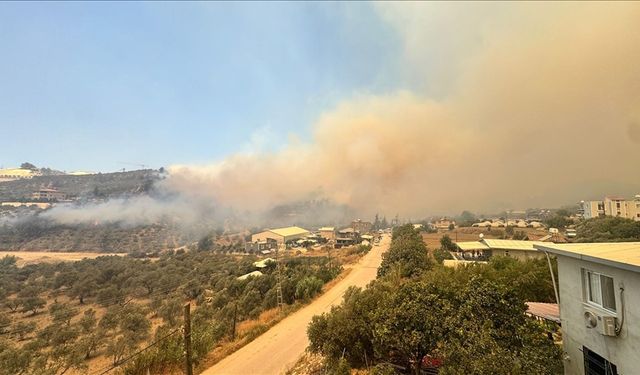 Hatay'da ormanlık alanda yangın çıktı