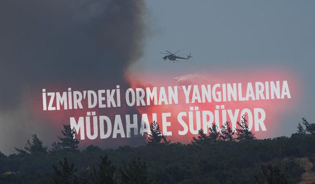İzmir'deki orman yangınlarına müdahale sürüyor