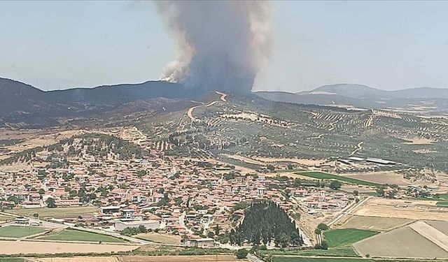 İzmir'in Foça ilçesinde çıkan orman yangınına müdahale ediliyor
