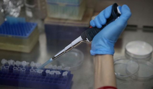 KKKA aşısının klinik öncesi çalışmalarının eylüle kadar bitirilmesi planlanıyor