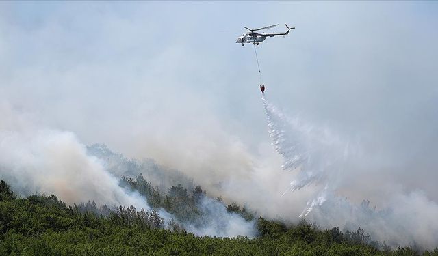 Türkiye'de orman yangınları için riskli döneme giriliyor