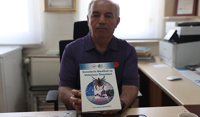 Uzmanından "kene sayısında önceki yıllara göre olağanüstü bir artış yok" açıklaması