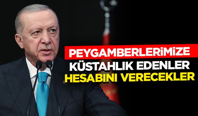 Erdoğan: Peygamberlerimize küstahlık edenler hesabını verecekler