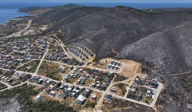 İzmir ve Bilecik'in orman yangınından etkilenen ilçeleri "Genel Hayata Etkili Afet Bölgesi" ilan edildi