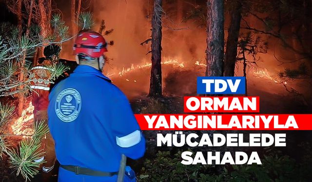 TDV, orman yangınlarıyla mücadelede sahada
