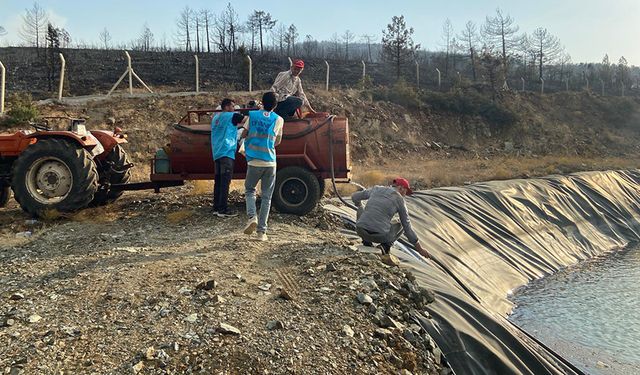Diyanet personelinin yangınla mücadelesine tam not