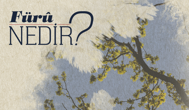 Fürû Nedir?
