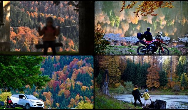 Düzce'nin Odayeri Yaylası ve Torkul Göleti, ziyaretçilerini sonbaharın renkleriyle ağırlıyor