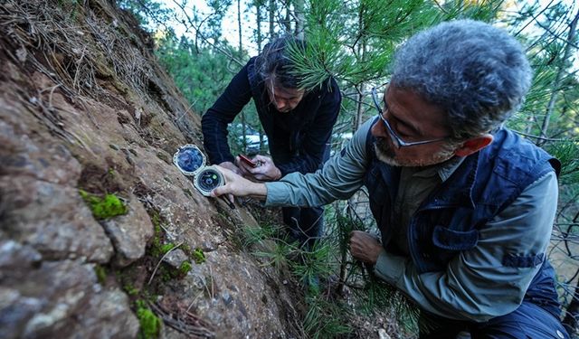 Sındırgı depremlerinin "ölü" fayların yeniden aktifleşmesiyle meydana geldiği belirlendi
