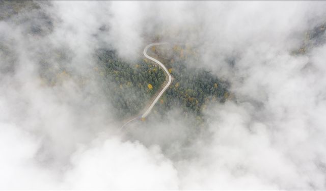 Sisle kaplanan Yedigöller yolu dronla görüntülendi