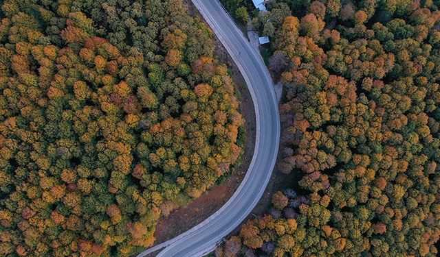 Uludağ'da sonbahar renkleri hakim oldu