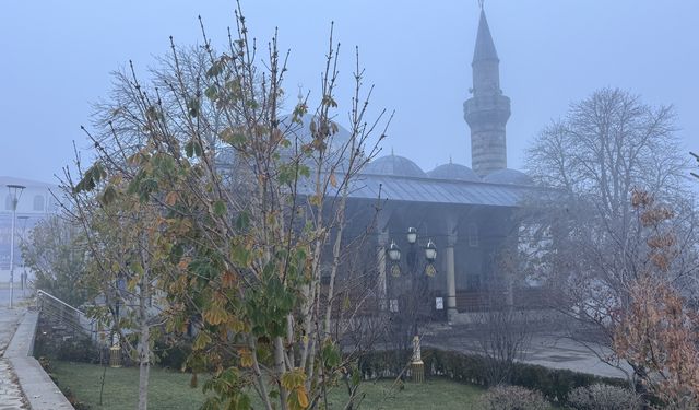 Erzurum, Ardahan ve Kars'ta soğuk hava ile sis etkili oluyor