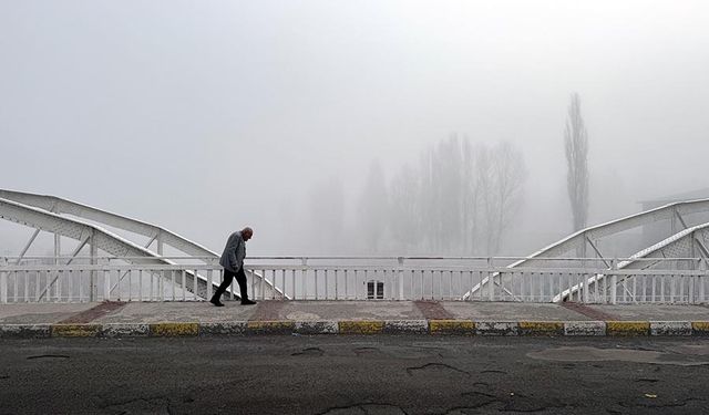 Ardahan'da kuşların gökyüzündeki dansı görüntülendi