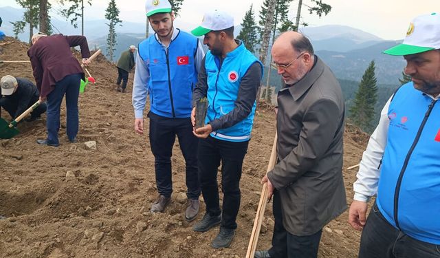 Bolat: Toprak fidanla, dünya merhametle yeşerir