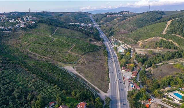 Bursa'da yıllar önce yanan ormanlık alanlar yeniden yeşeriyor