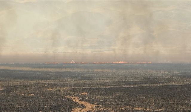 Hakkari'de Nehil Sazlığı'ndaki yangına havadan müdahale ediliyor