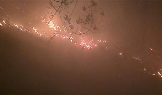 Hatay'da ormanlık alanda yangın çıktı