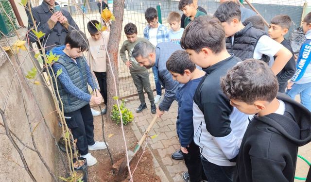 Sultanbeyli'de ağaçlandırma günü etkinliği