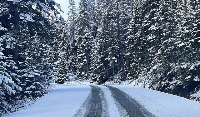Bolu'da kar kalınlığı 10 santimetreye ulaştı