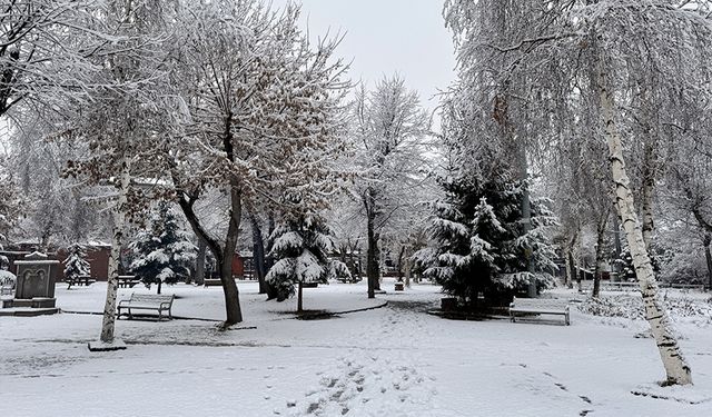 Erzurum ve çevresinde kar yağışı etkili oldu