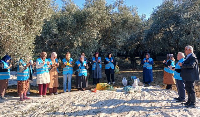 Yatağan'da "Zeytin Hasadı ve Bereket Duası" yapıldı