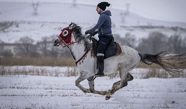 Erzurum'da kar ve buzda atlı safari keyfi