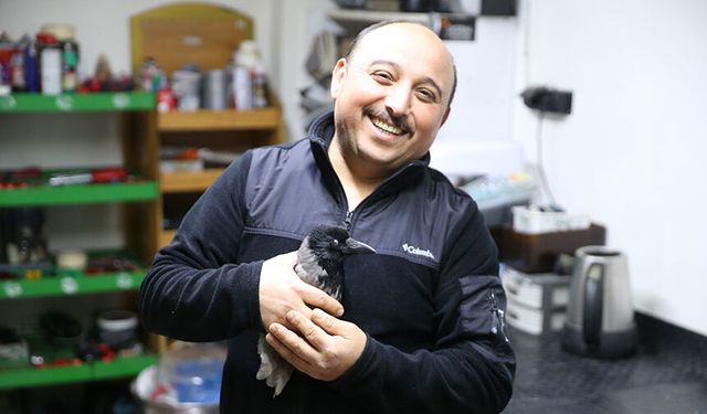 Yaralı halde bulduğu karga en yakın arkadaşı oldu